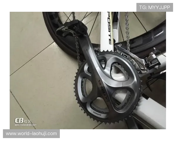 最新上线的老虎机在线注册平台有哪些具有创新玩法和丰富奖励的推荐