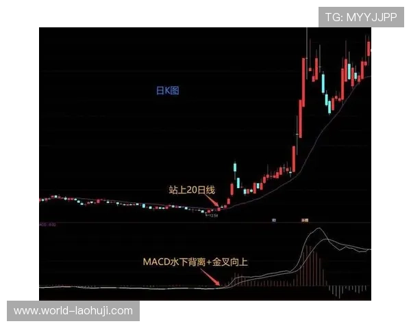 便捷的葡京新电子官网登录入口入口入口，轻松进入丰富多彩的线上游戏世界
