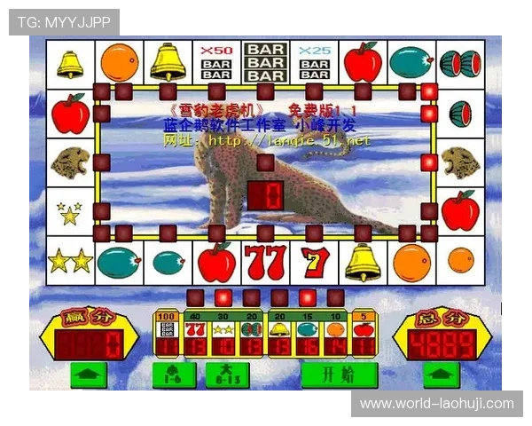 电脑版老虎机单机版最新版本，持续更新丰富游戏内容