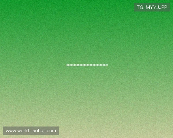 奔驰宝马老虎机安全可靠的游戏平台推荐保障你的资金与信息安全