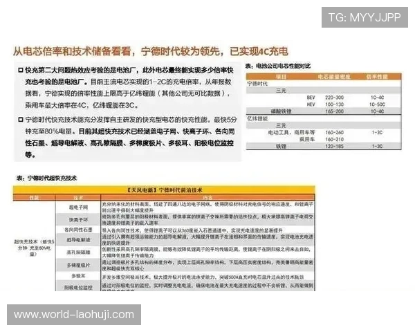 探索fg电子平台官网的安全保障措施，确保玩家账号信息与资金安全的详细指南